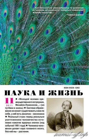 Наука и жизнь №11 (ноябрь 2011)