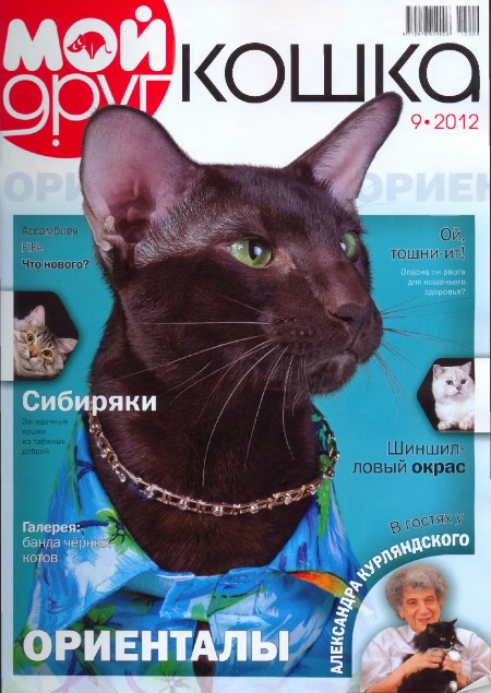Мой друг кошка №9 (сентябрь 2012). Ориенталы