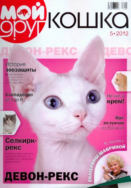Мой друг кошка №5 (май 2012). Девон-Рекс