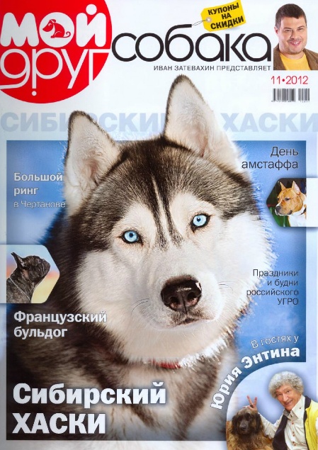 Мой друг собака №11 (ноябрь 2012). Сибирская Хаска