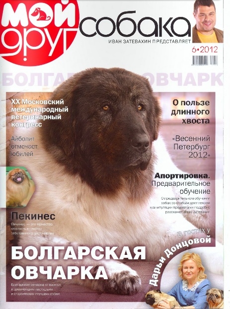 Мой друг собака №6 (июнь 2012). Болгарская Овчарка