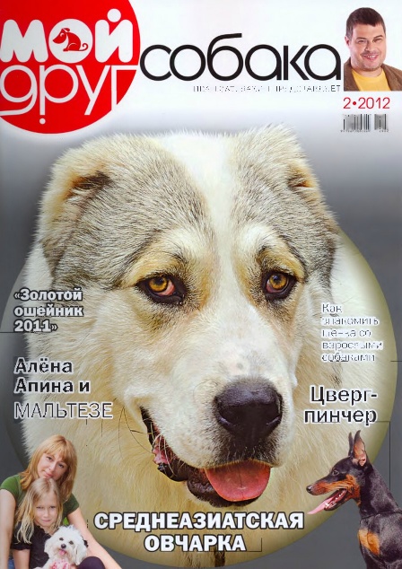Мой друг собака №2 (февраль 2012). Среднеазиатская овчарка