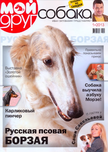 Мой друг собака №1 (январь 2013). Русская псовая Борзая