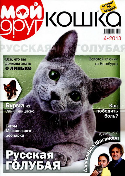 Мой друг кошка №4 (2013). Русская Голубая
