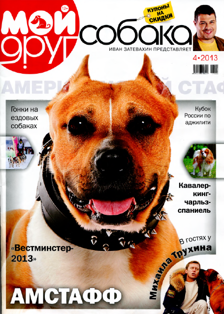 Мой друг собака №4 (апрель 2013). Амстафф