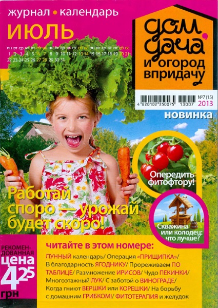 Дом, дача и огород в придачу №7 (15)  Июль/2013