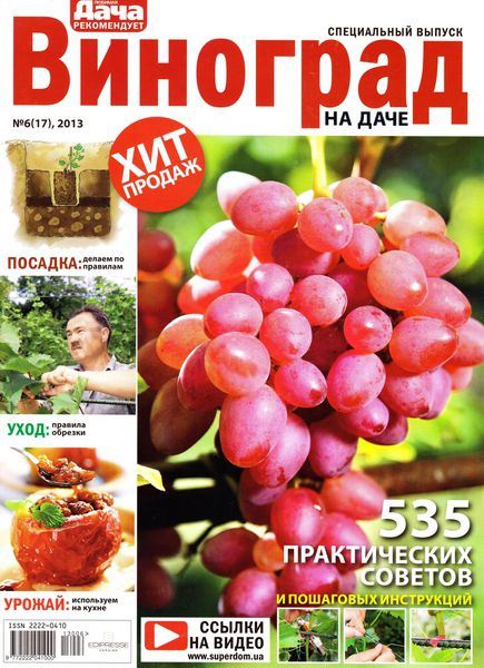Любимая дача. Спецвыпуск №6 (17) Август/2013  Украина