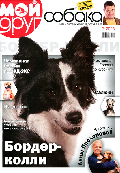 Мой друг собака №9 / 2013. Бордер-колли