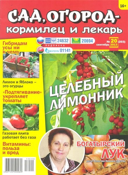 Сад, огород - кормилец и лекарь №20 Сентябрь/2013