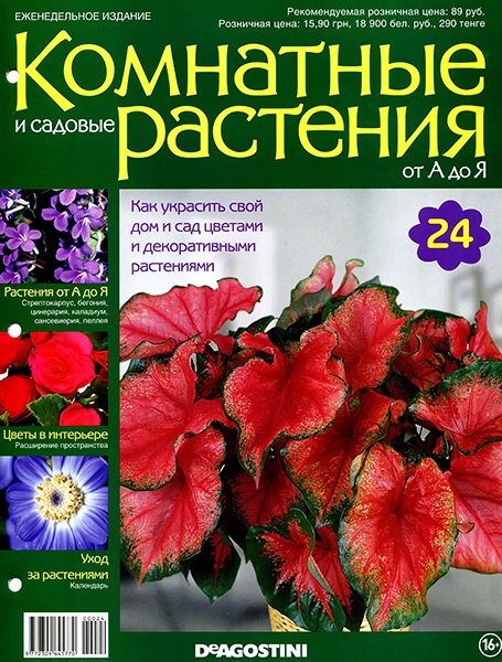Комнатные и садовые растения от А до Я №24 / 2014