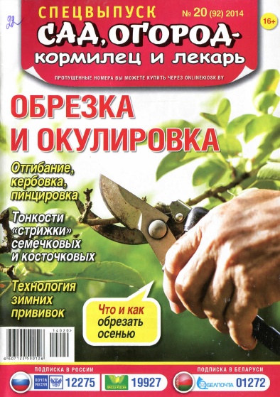 Сад, огород - кормилец и лекарь №20 / 2014. Спецвыпуск