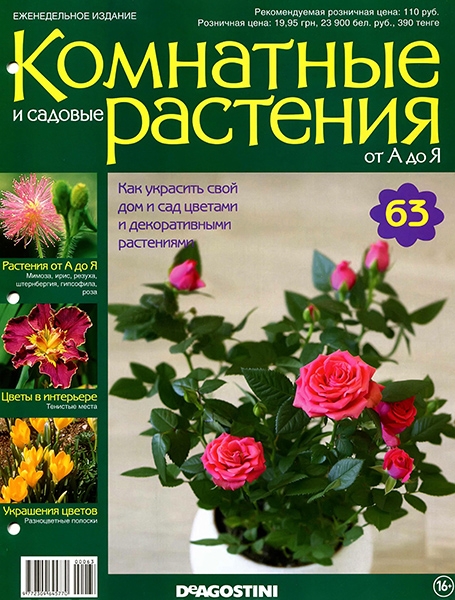 Комнатные и садовые растения от А до Я №63 / 2015