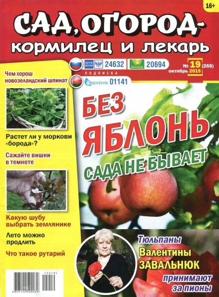 Сад, огород - кормилец и лекарь №19 (октябрь 2015)