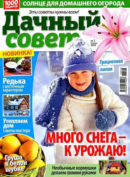 Дачный совет №1 / 2016