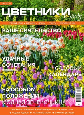 Цветники в саду №4 / 2016