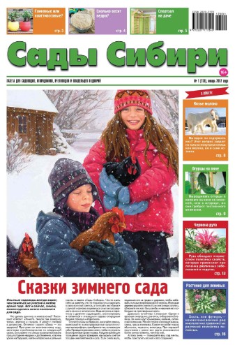 Сады Сибири №1 / 2017