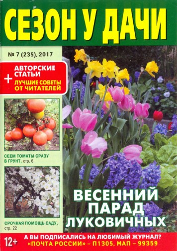 Сезон у дачи №7  Апрель/2017