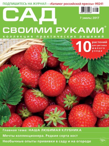 Сад своими руками №7 Июль/2017