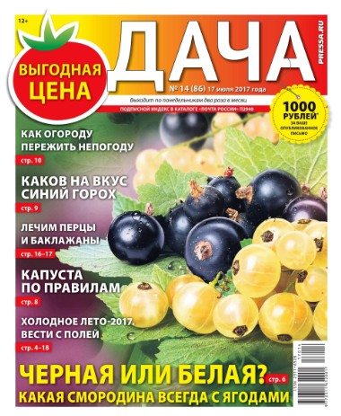 Дача №14 / 2017