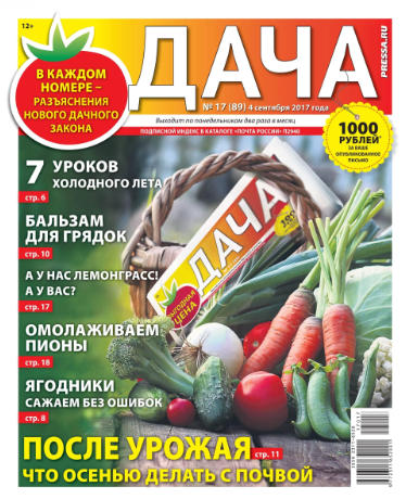 Дача №17 / 2017