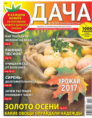 Дача №18 / 2017