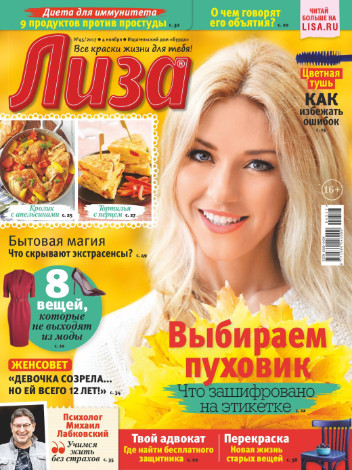 Лиза №45 / 2017