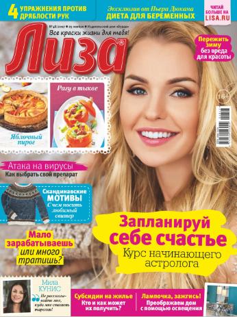 Лиза №48 / 2017