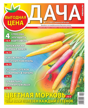 Дача №7 / 2018