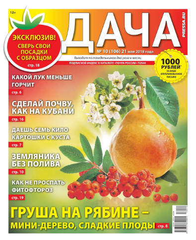 Дача №10 / 2018