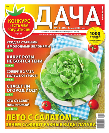 Дача №11 / 2018