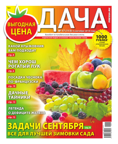 Дача №17 / 2018