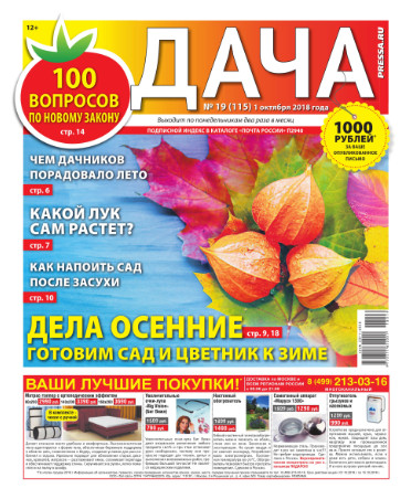 Дача №19 / 2018