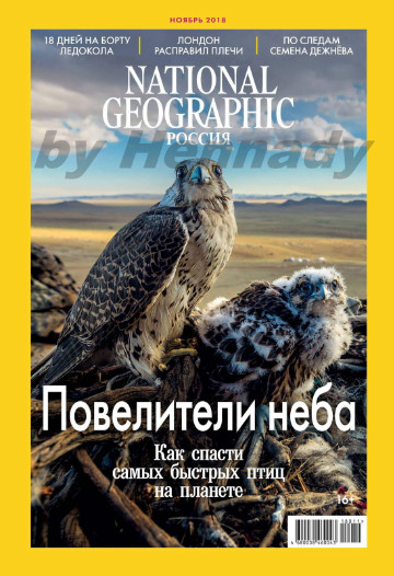 National Geographic №11 / 2018