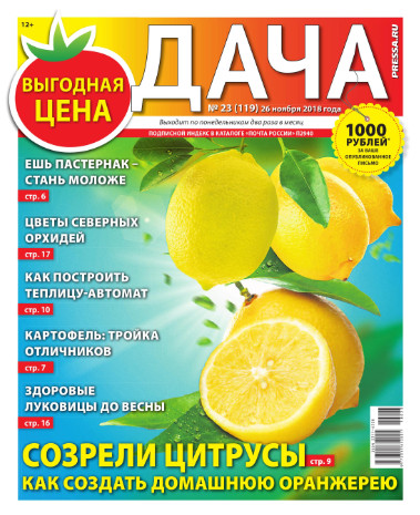 Дача №23 / 2018