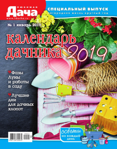 Любимая дача. Спецвыпуск №1 / 2019