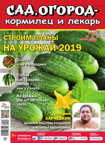 Сад, огород кормилец и лекарь №2 / 2019
