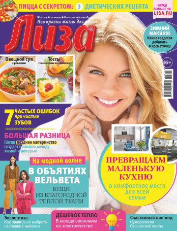 Лиза №4 / 2019