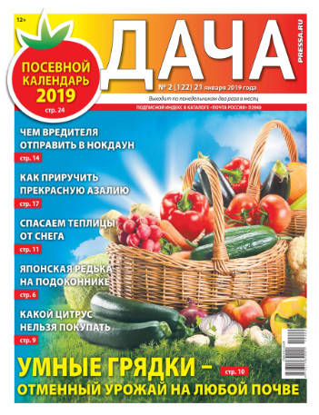 Дача №2 / 2019