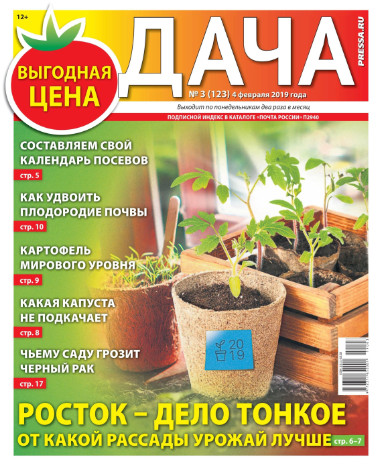 Дача №3 / 2019