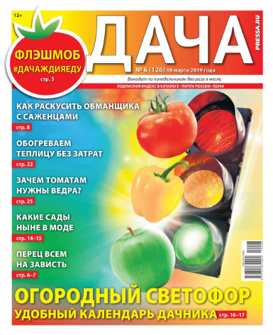 Дача №6 / 2019