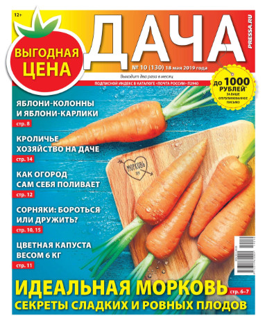 Дача №10 / 2019