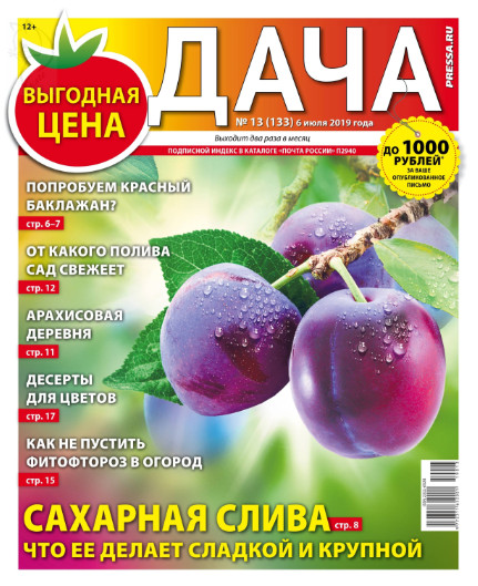 Дача №13 / 2019