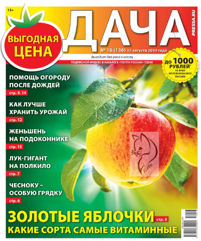 Дача №16 / 2019