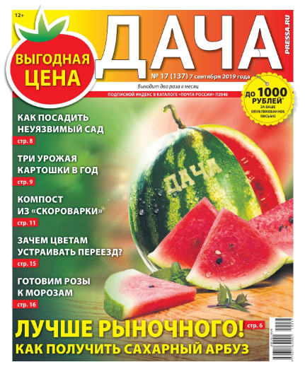 Дача №17 / 2019