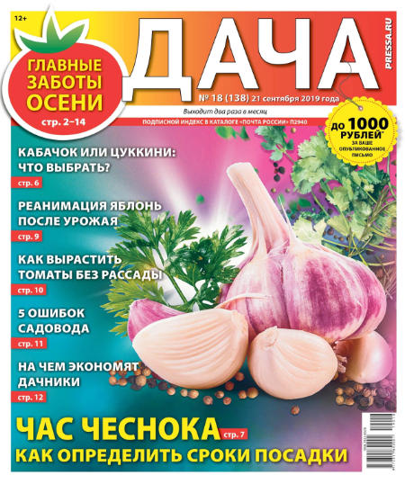 Дача №18 / 2019