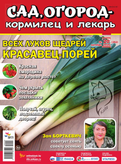 Сад, огород - кормилец и лекарь №20 / 2019