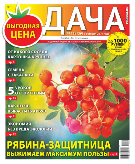 Дача №19 / 2019