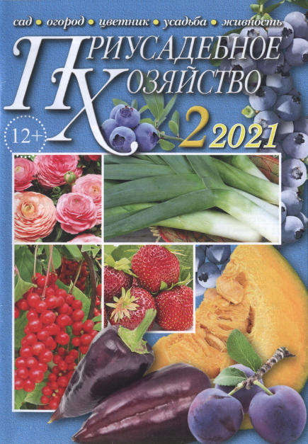 Приусадебное хозяйство №2 / 2021