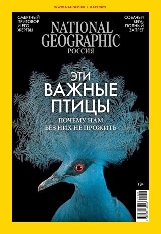 National Geographic №3 / 2021