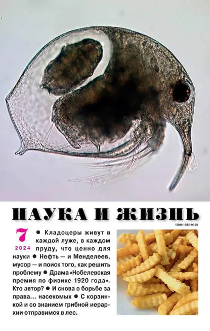 Наука и жизнь №7 / 2024